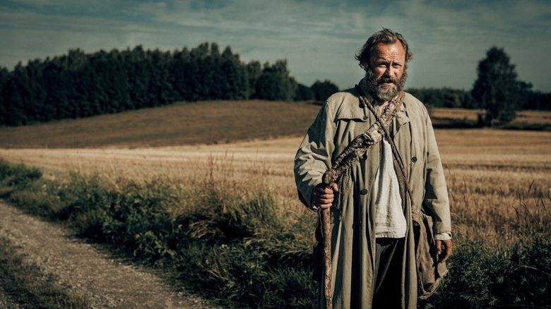 Fondo de El curandero