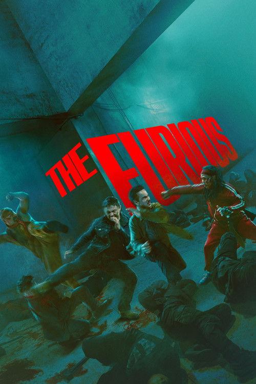 Poster de The Furious